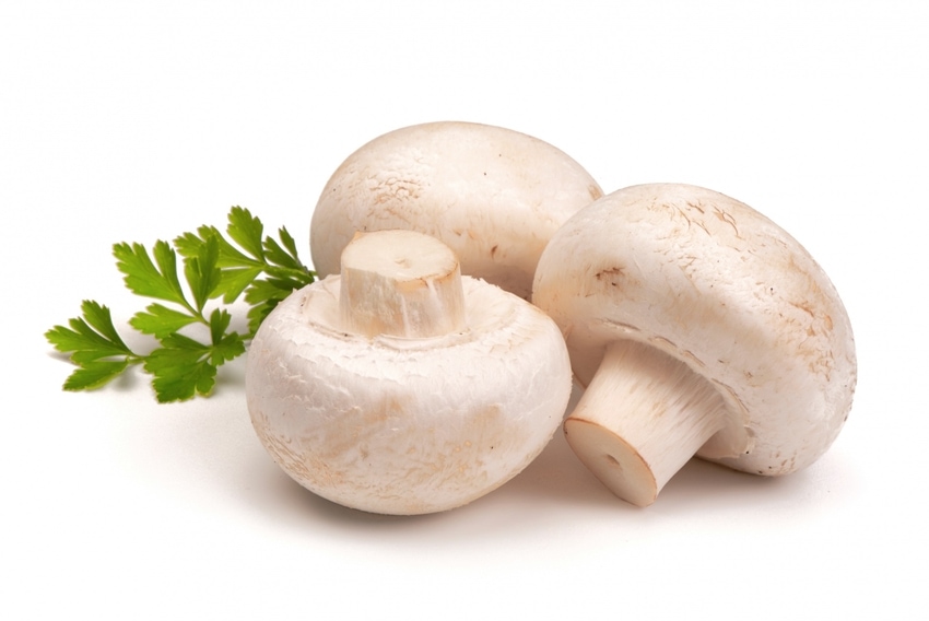 Customs clearance of champignon